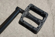 Load image into Gallery viewer, Sunday Scout