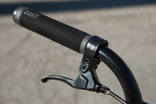 Load image into Gallery viewer, Sunday Scout