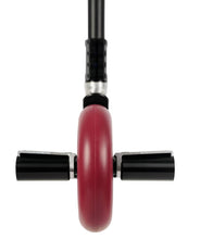 Load image into Gallery viewer, Urban Artt Bone Complete 5.5” x 21”