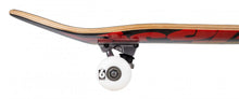 Load image into Gallery viewer, Birdhouse Complete Stage 1 Skateboard
