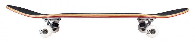 Birdhouse Complete Stage 1 Skateboard